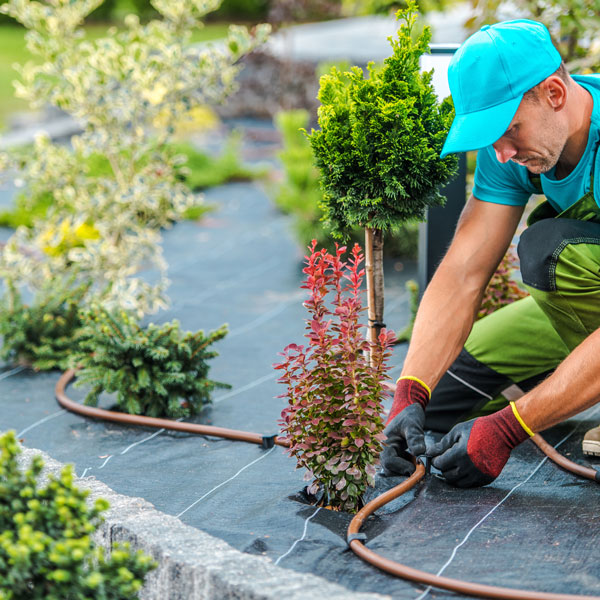 landscaping
