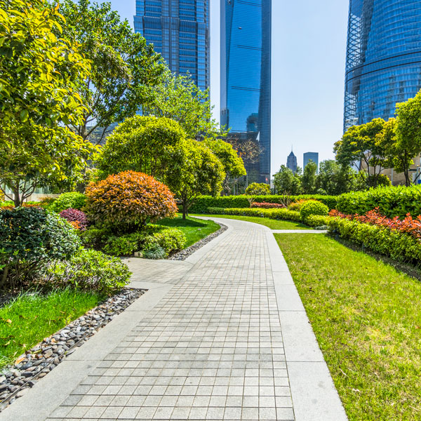 park landscaping