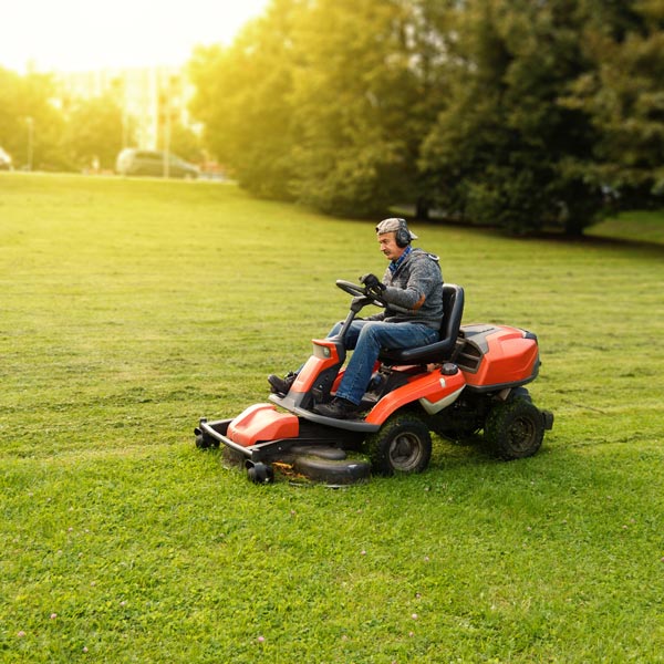 professional lawn mower
