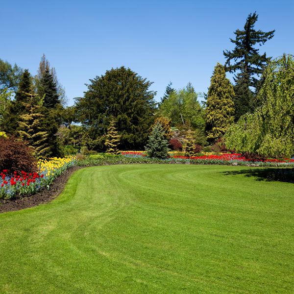 Landscaping Testimonials