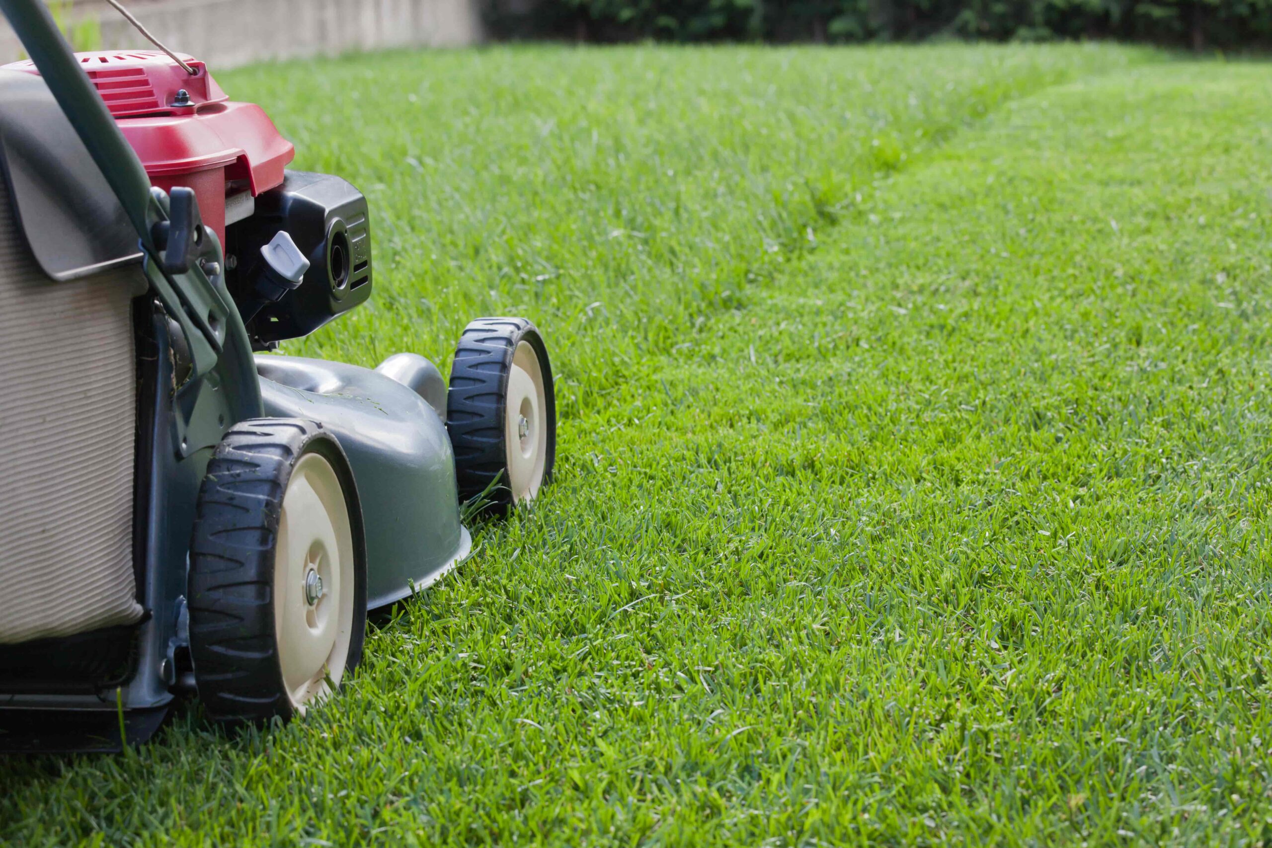 Lawn Mowing Services in Bowie, MD